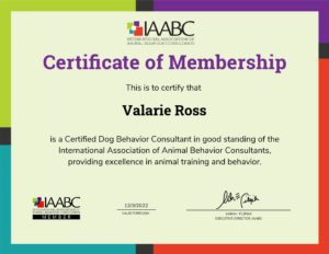 certified dog behavior consultant certificate